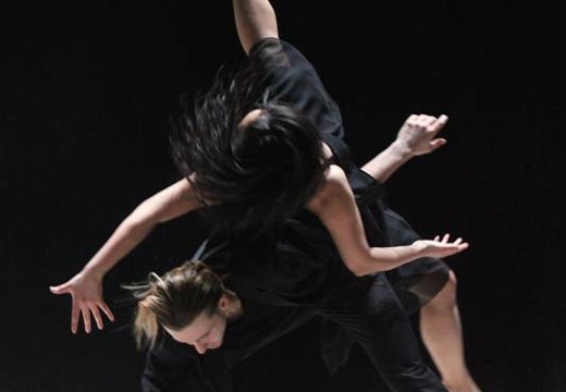 Sanguis 2011
