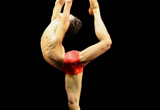 Ballett-Gala 2011