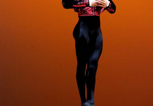 Ballett-Gala 2011
