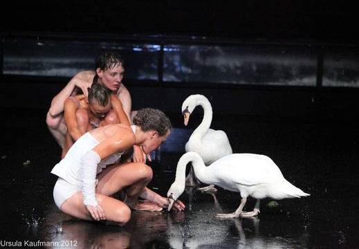 Le Guetteur - Luc Petton & Cie - SWAN