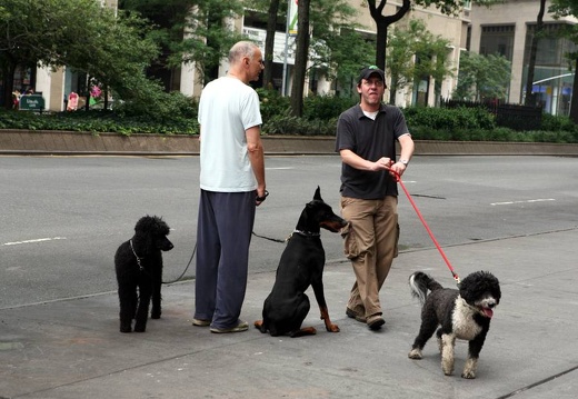 New York 2008