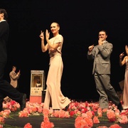 Nelken-Ein Stück von Pina Bausch