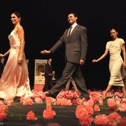 Nelken-Ein Stück von Pina Bausch