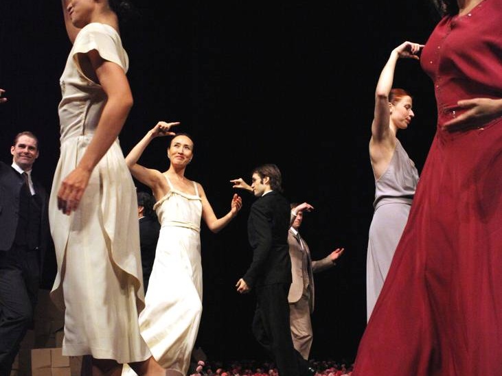 Nelken-Ein Stück von Pina Bausch