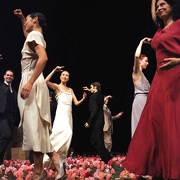 Nelken-Ein Stück von Pina Bausch