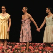 Nelken-Ein Stück von Pina Bausch