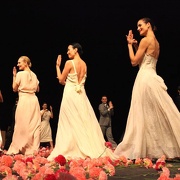 Nelken-Ein Stück von Pina Bausch
