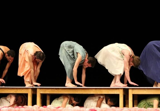 Nelken-Ein Stück von Pina Bausch