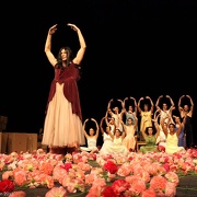Nelken-Ein Stück von Pina Bausch