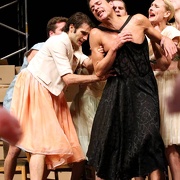 Nelken-Ein Stück von Pina Bausch