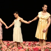 Nelken-Ein Stück von Pina Bausch