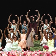 Nelken-Ein Stück von Pina Bausch