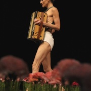 Nelken-Ein Stück von Pina Bausch