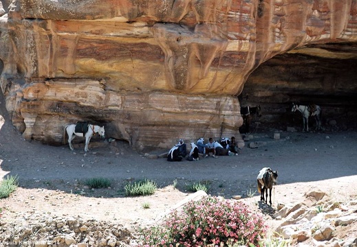Jordanien / Jordan