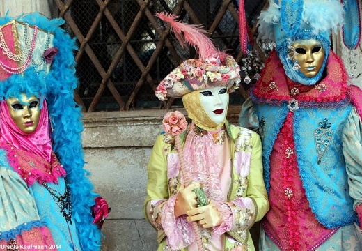 Carnevale di Venezia 2014