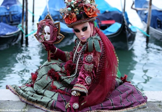 Carnevale di Venezia 2014