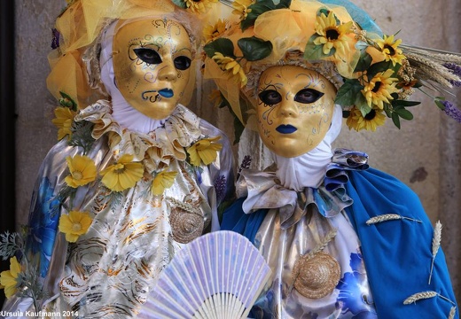 Carnevale di Venezia 2014