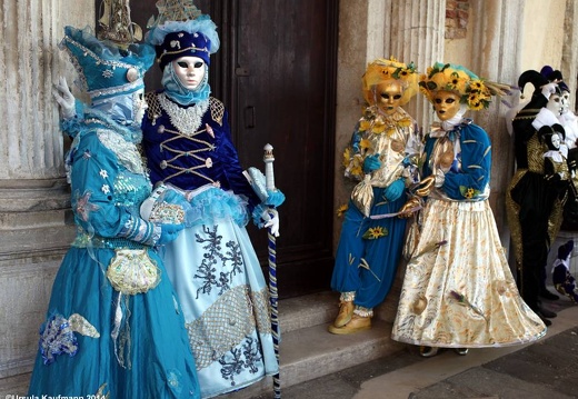 Carnevale di Venezia 2014