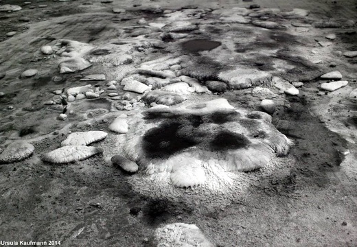 Pierre Huyghe