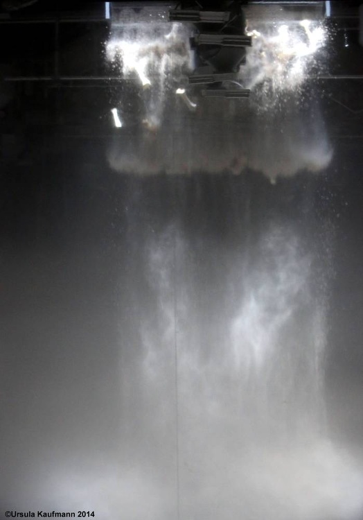 Le Sacre du Printemps, Chr. Romeo Castellucci, 14.08.2014, Foto Ursula Kaufmann J09A6936.JPG