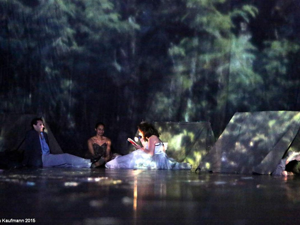 Danzon (2015)