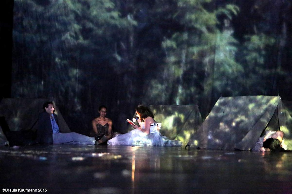 Danzon-Ein St?ck von Pina Bausch, 21.01.2015, Foto Ursula Kaufmann J09A9155.jpg