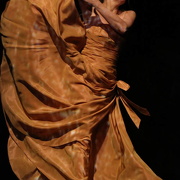 Danzon (2015)