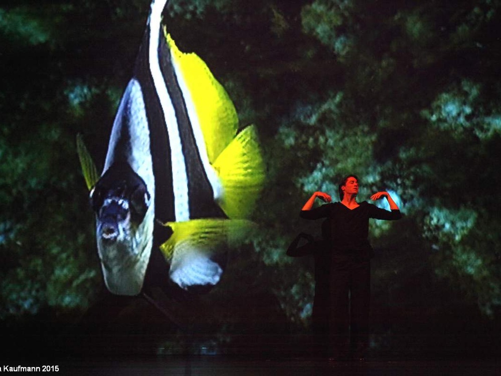 Danzon (2015)