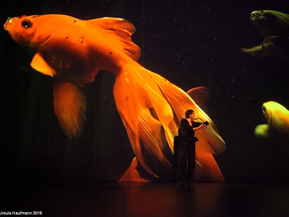 Danzon (2015)