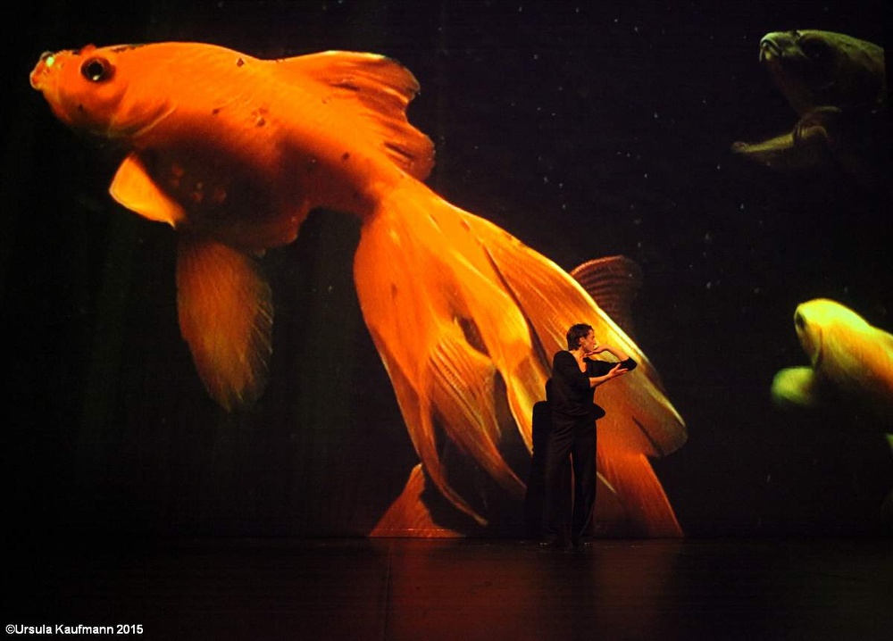 Danzon-Ein St?ck von Pina Bausch, 21.01.2015,T. Ales Cucek, Foto Ursula Kaufmann IMG_7153.jpg