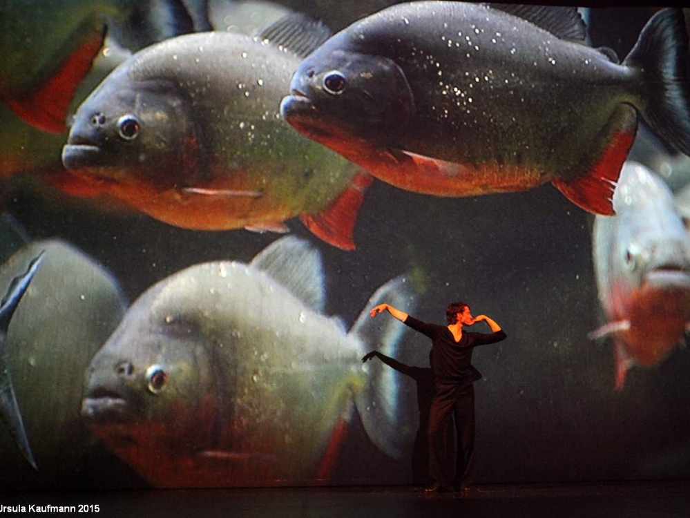 Danzon (2015)