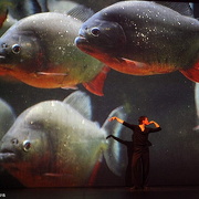 Danzon (2015)