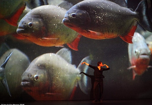 Danzon (2015)
