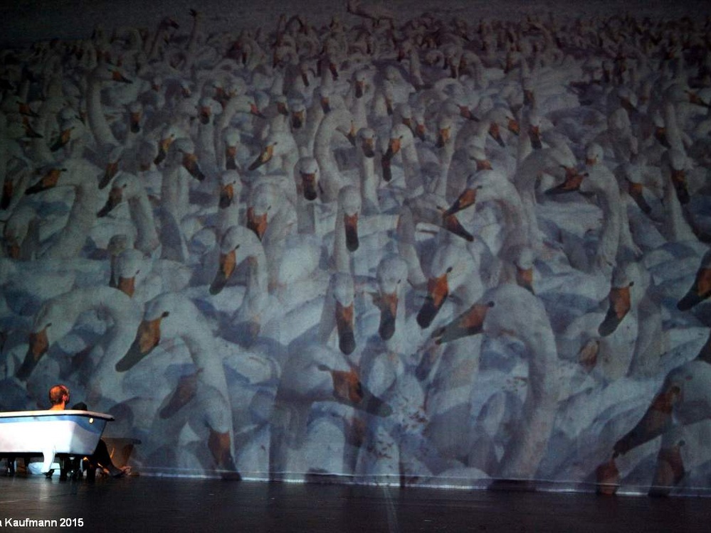 Danzon (2015)