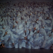 Danzon (2015)