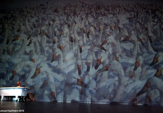 Danzon (2015)