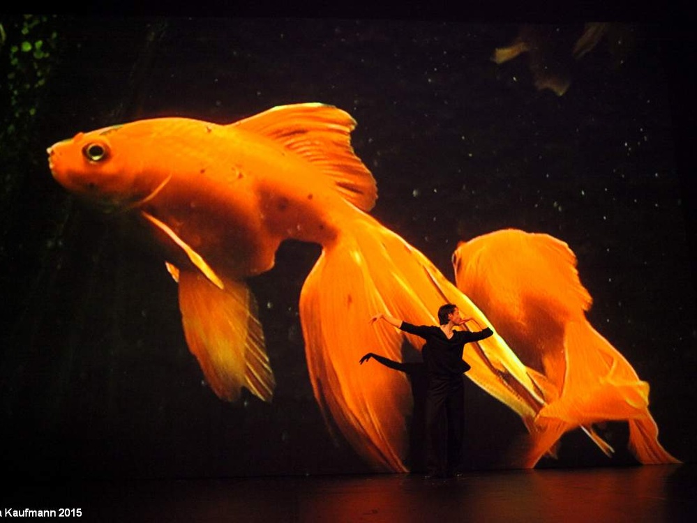 Danzon (2015)