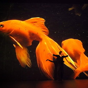 Danzon (2015)