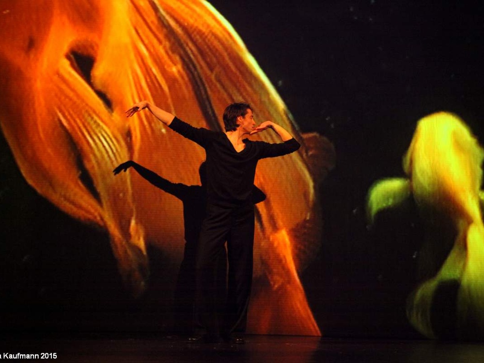 Danzon (2015)