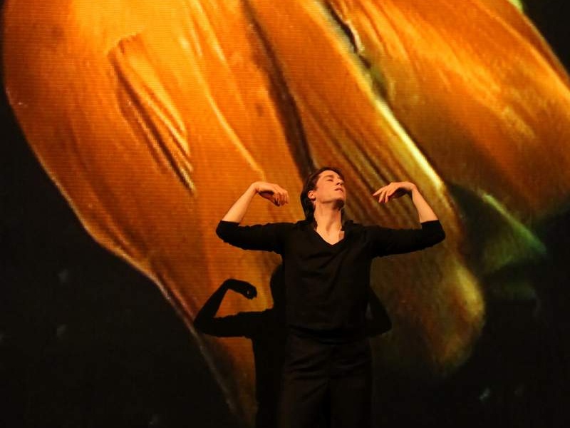 Danzon (2015)