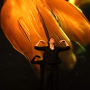 Danzon (2015)
