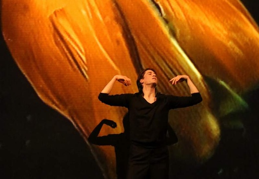Danzon (2015)