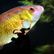 Danzon (2015)