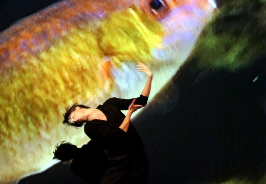 Danzon (2015)