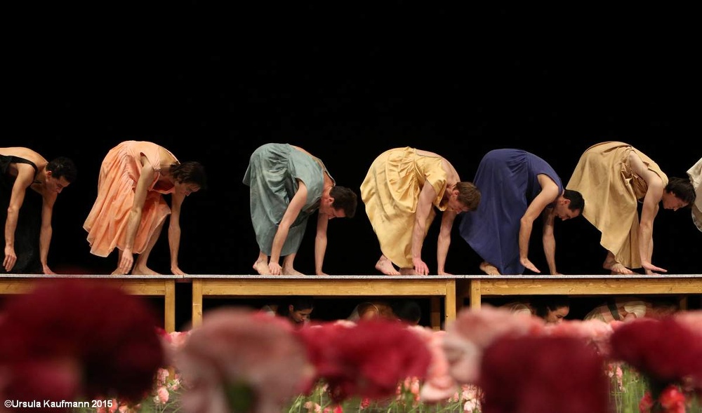 Nelken-Ein St?ck von Pina Bausch, 28.01.2015, Foto Ursula Kaufmann J09A0140.jpg