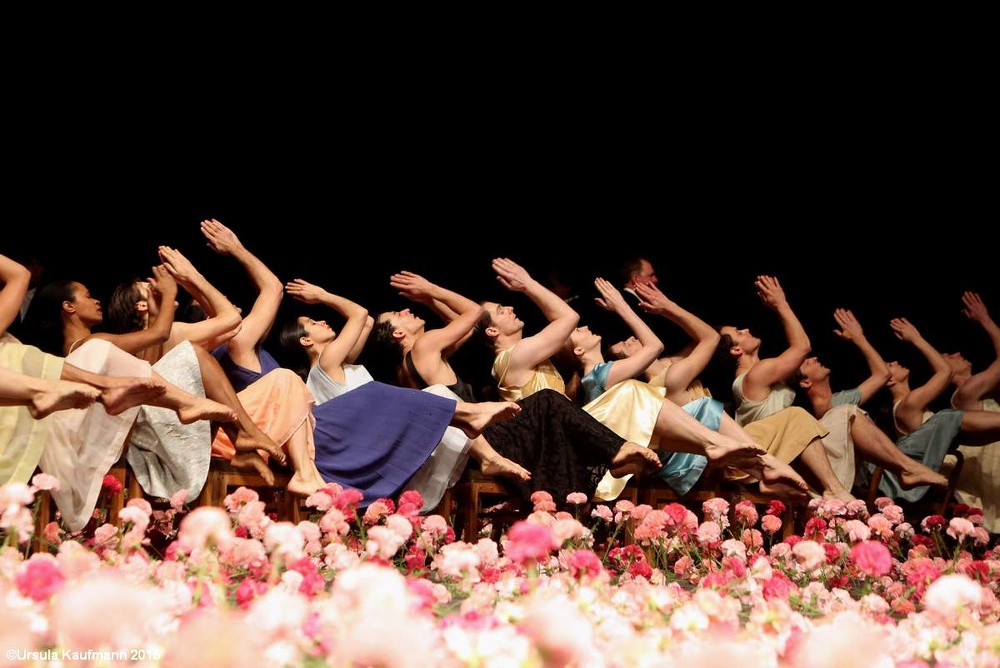 Nelken-Ein St?ck von Pina Bausch, 28.01.2015, Foto Ursula Kaufmann J09A0236.jpg