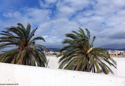 Mallorca - Mai 2015 (2)