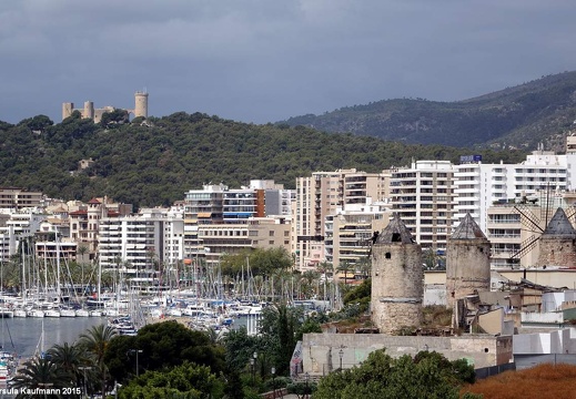 Mallorca - Mai 2015 (2)