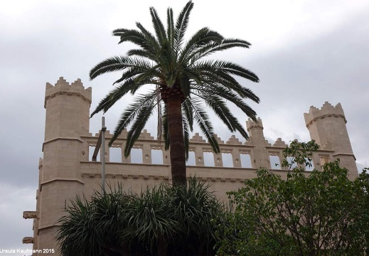 Mallorca - Mai 2015 (2)