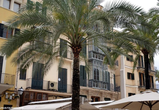 Mallorca - Mai 2015 (2)